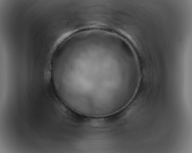X0000088191363200705221654