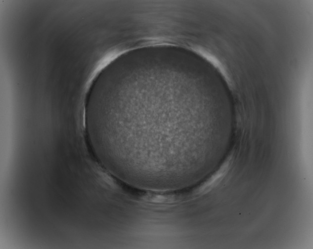 X0000088191365200705221654