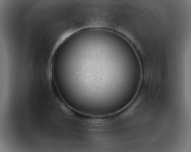 X0000088191366200705221654