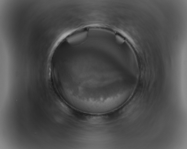 X0000088191367200705221654