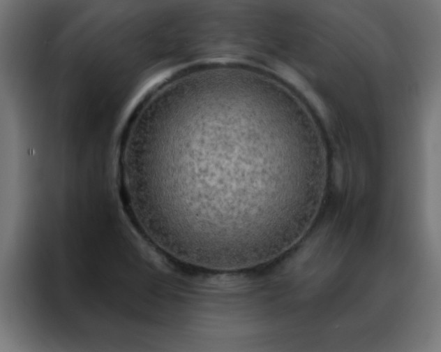 X0000088191368200705221654