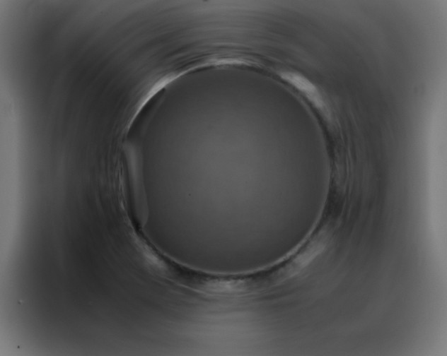 X0000088191369200705221654