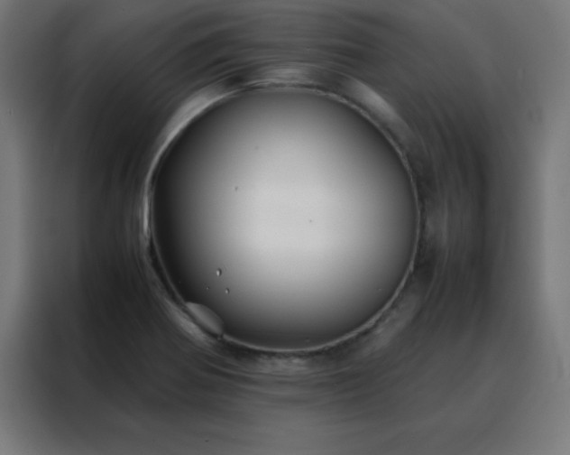 X0000088191370200705221654
