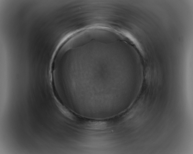 X0000088191372200705221654