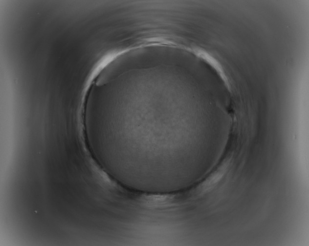 X0000088191373200705221654