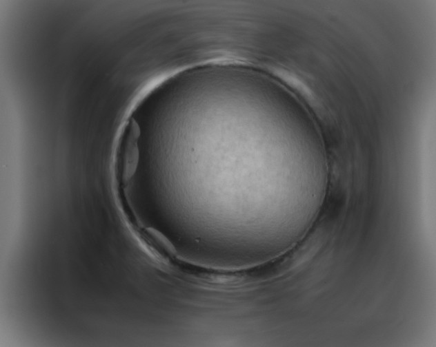 X0000088191375200705221654