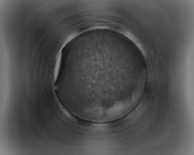 X0000088191377200705221654