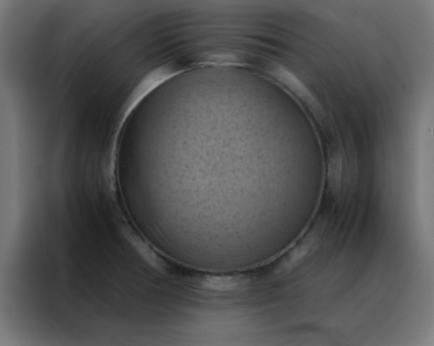 X0000088191378200705221654