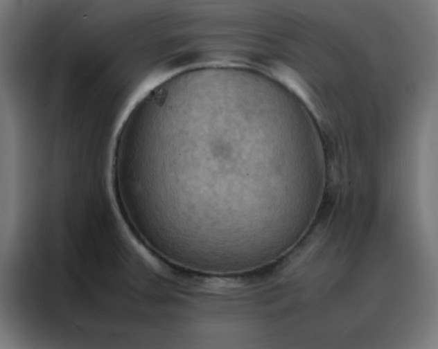 X0000088191379200705221654