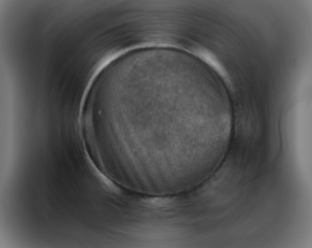 X0000088191380200705221654