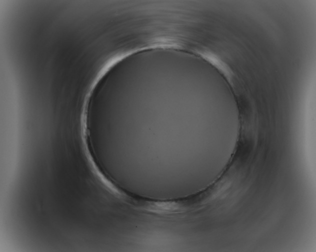 X0000088191383200705221653