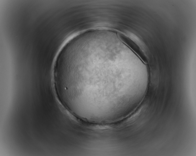X0000088191384200705221653