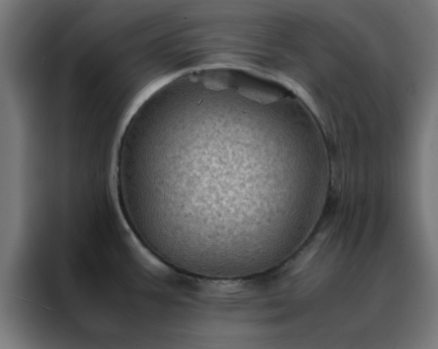 X0000088191387200705221653