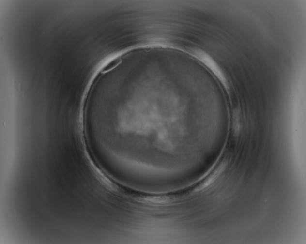 X0000088191388200705221653