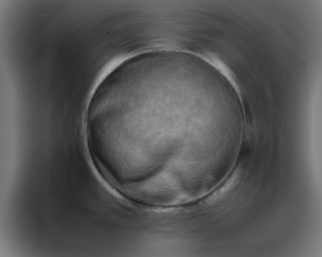 X0000088191389200705221653