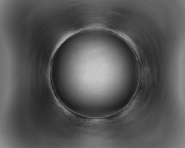 X0000088191390200705221653