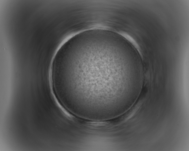 X0000088191391200705221653