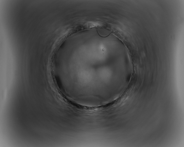 X0000088191393200705221653