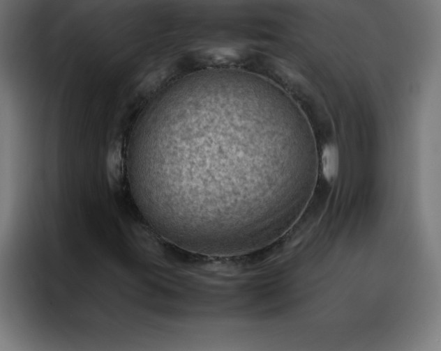 X0000088191395200705221653