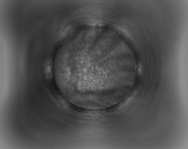 X0000088191396200705221653