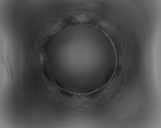 X0000088191397200705221653