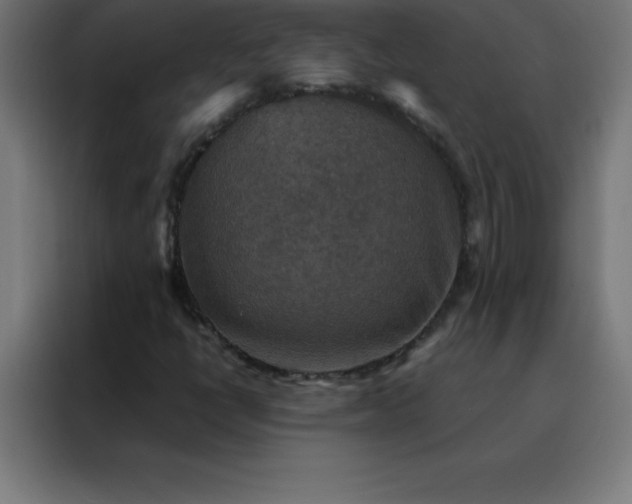 X0000088191398200705221653