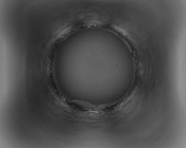 X0000088191399200705221653