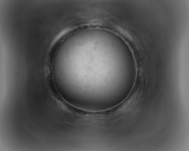 X0000088191400200705221653