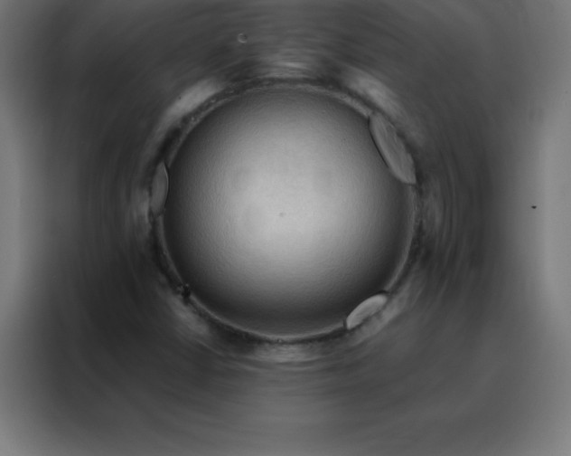 X0000088191402200705221653