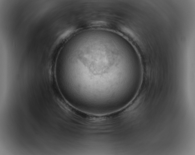 X0000088191403200705221653