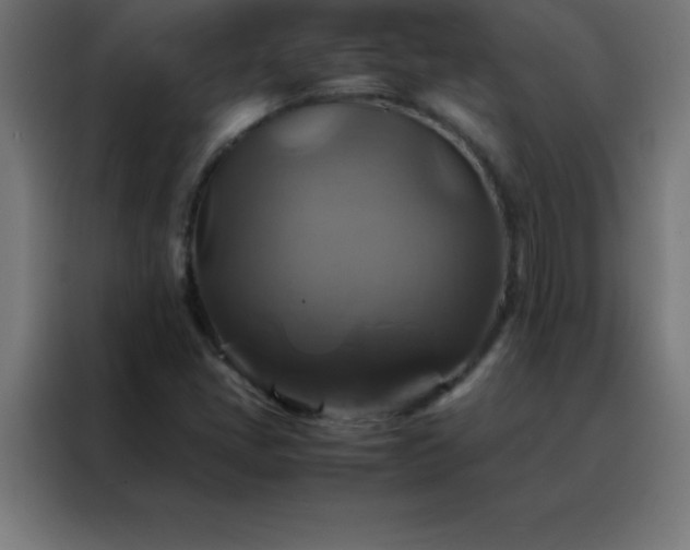 X0000088191405200705221653
