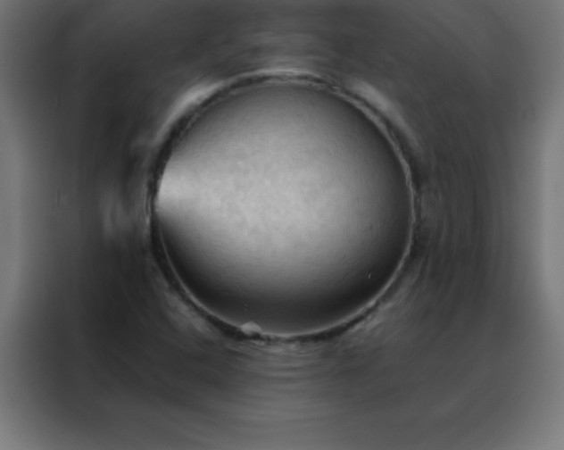 X0000088191408200705221653