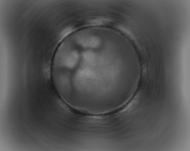 X0000088191409200705221653
