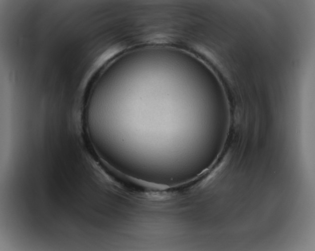 X0000088191410200705221653