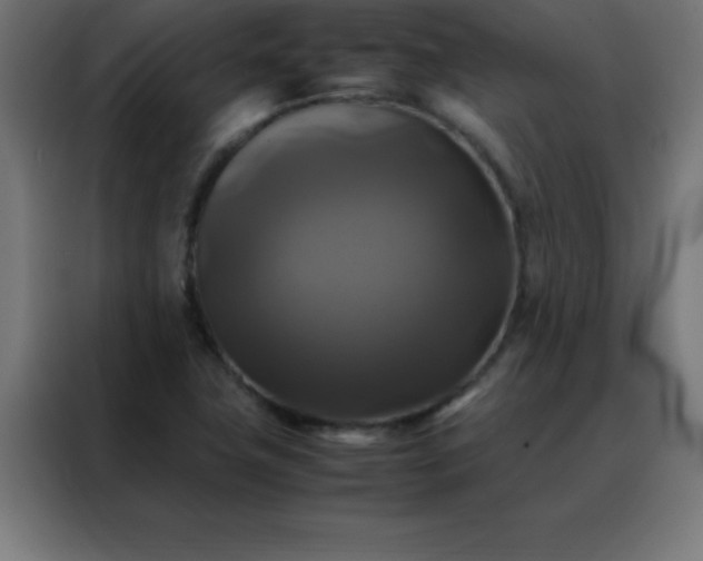 X0000088191411200705221653