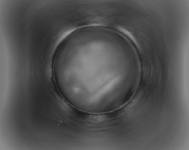 X0000088191415200705221653