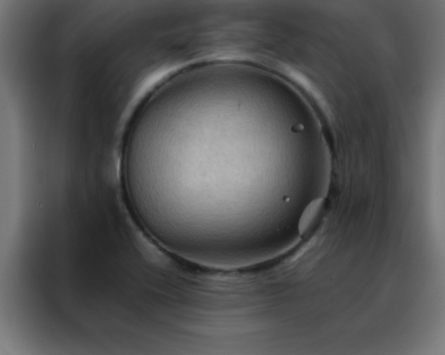 X0000088191416200705221653