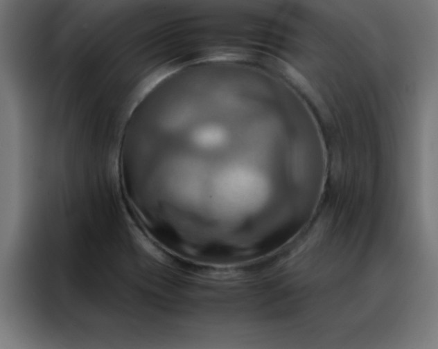 X0000088191417200705221653