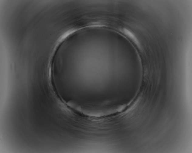 X0000088191419200705221653