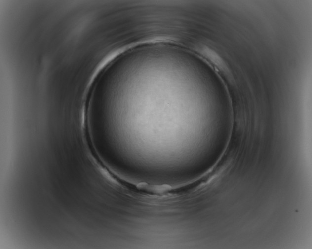 X0000088191420200705221653