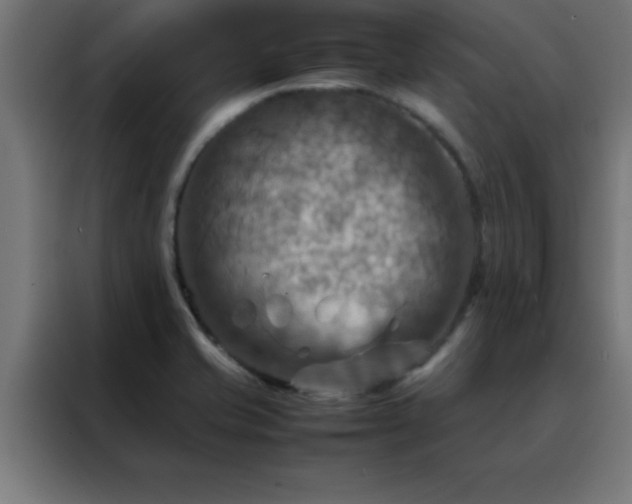 X0000088191421200705221653