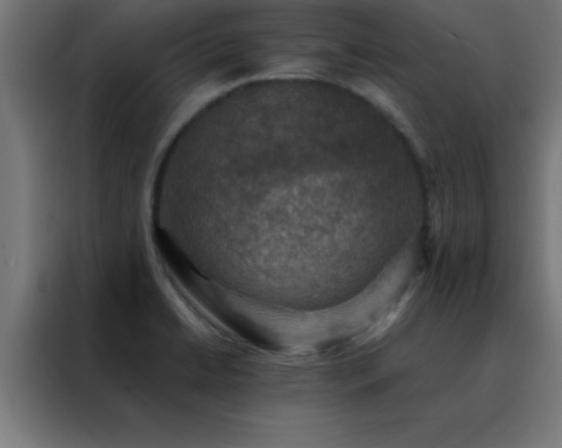 X0000088191422200705221653
