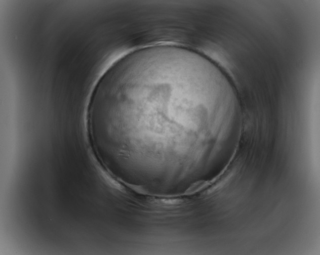 X0000088191423200705221653