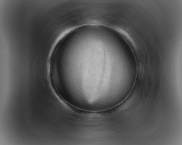 X0000088191424200705221653