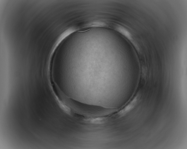 X0000088191426200705221653
