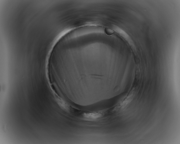X0000088191427200705221653