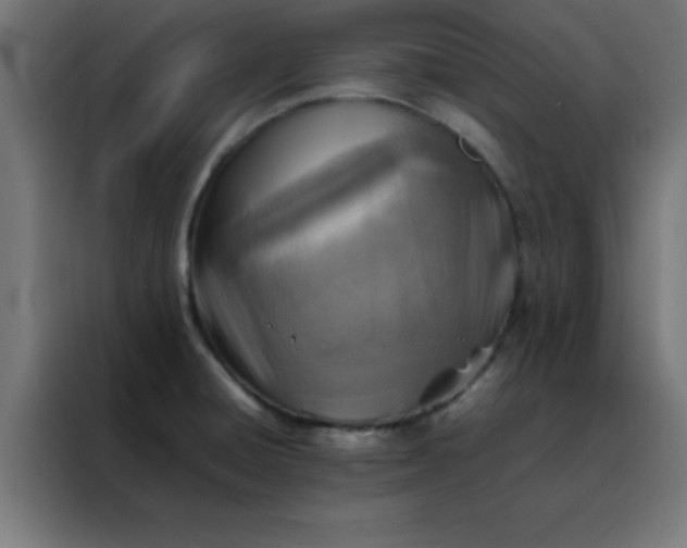 X0000088191428200705221653