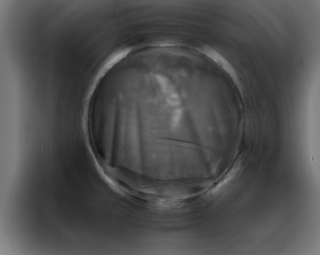 X0000088191429200705221653