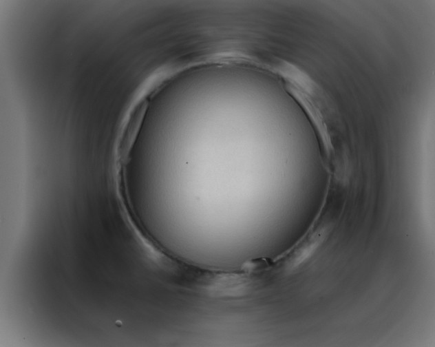 X0000088191430200705221653