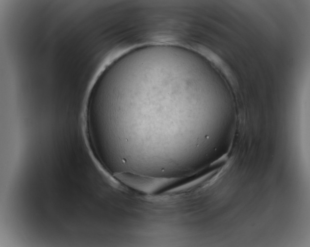 X0000088191432200705221653